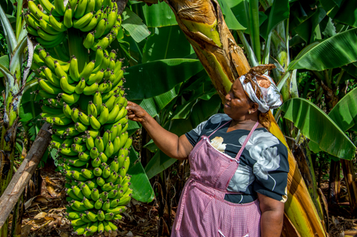 E-learning categories